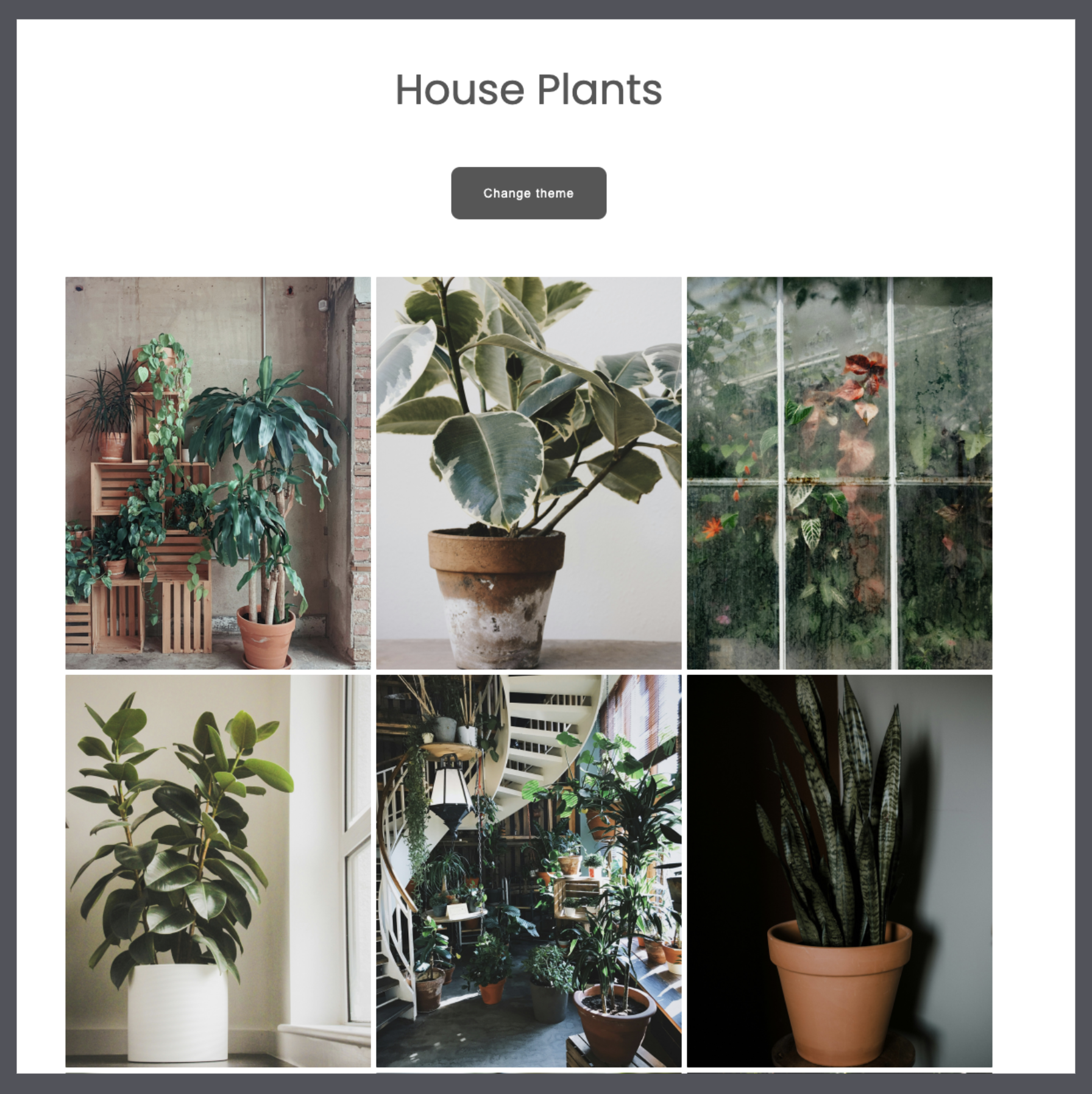 House plant preview